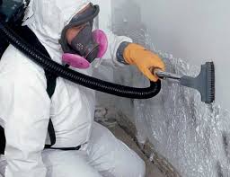 Reliable East Quogue, NY Mold Removal Solutions